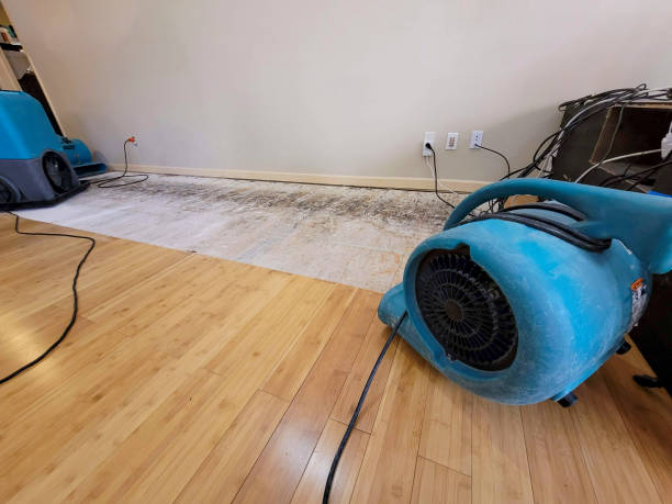 Professional Water Damage Repair technician working in Whitehall, OH